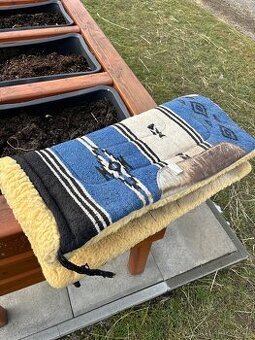 Westernova deka a uzdecka