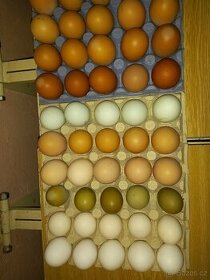 Domácí vejce 4 kč