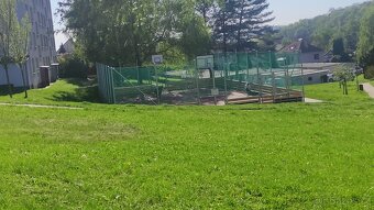 Pronájem bytu 3+1 Bučovice 84m2