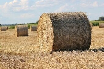 Pšeničná sláma - kulaté balíky průměr 125 cm