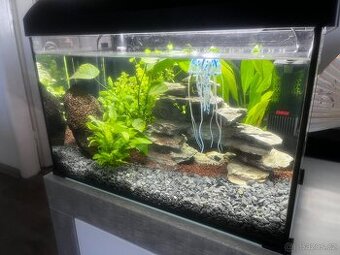 Aqarium 37,5l + doplňky