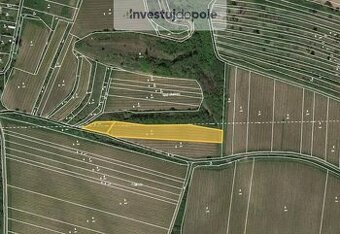 Prodej podílu 29/192 sadu / vinice 747 m², Dolní Věstonice