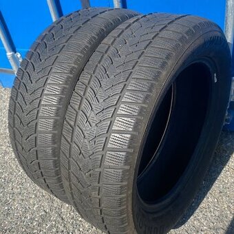 Zimní pneu 205/55 R17 95V Dunlop 5mm
