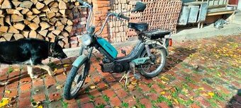 babeta 210