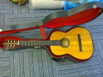 Kvalitní akustická kytara