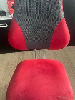 Rostoucí dětská židle Mayer ACTIKID A2 – bez područek Mayer