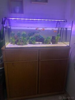 Plně vybavené akvarium