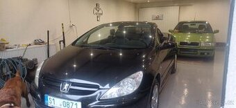 Peugeot 307cc 2.0 i, najeto 137000km