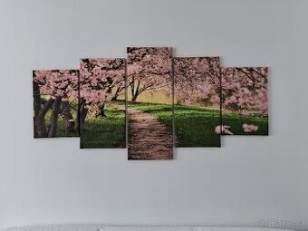 Obraz sakura (5 dílný)