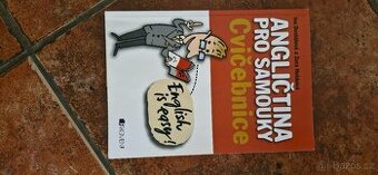 Anglictina pro samouky cvičebnice