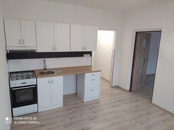 Zrekonstruovaný byt 1+1