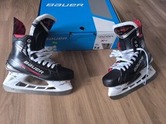 Bauer Vapor X4, nové