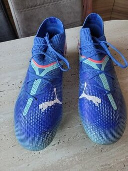 Lisovky puma