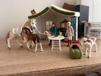 Schleich set