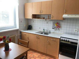 Pronájem slunného bytu 3+1 66m², předzahrádka, Úvaly u Prahy