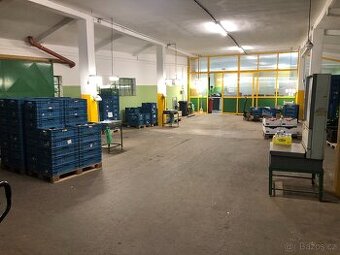 práce ve třídírně ve skladu ovoce a zeleniny