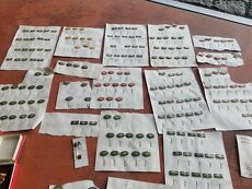 Odznaky a řády Kdyně Elitex