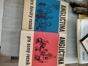 Učebnice angličtiny 8+9 ročník