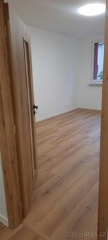 Prodej bytu 2+1 50 m² Jirská, Ostrava – Moravská Ostrava