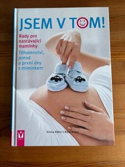Jsem v tom - 1