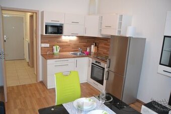 PRONÁJEM BYTU 1+KK; PLZEŇ - SEVERNÍ PŘEDMĚSTÍ