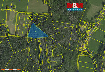 Prodej lesa v Koroužném