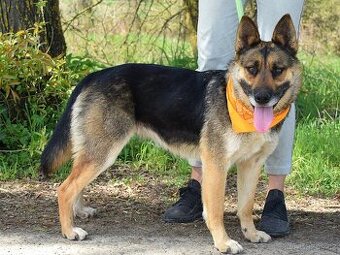 JULLY K ADOPCI - krásná mladá přátelská NO