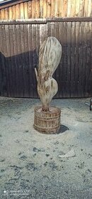 hlava koně motorovou pilou