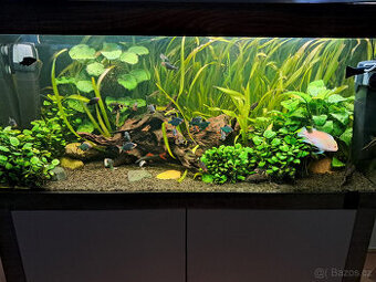 Akvárium 120x50x57cm 300l  LED 105W rok staré v záruce