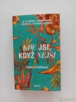 Kde jsi, když nejsi - Radka Třeštíková