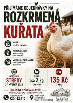 Brojleři na výkrm