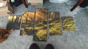 5dílný obraz - les s paprsky slunce