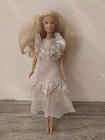 Barbie panenka a prislusenstvi