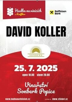 Vstupenka koncert David Koller