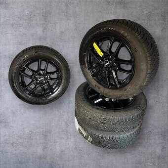 Alu kola Rial 5x100 + zimní 185/65r15