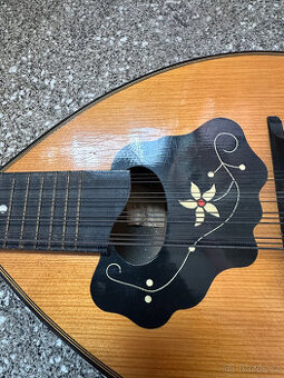 Mandolína rok 1969