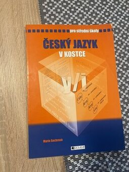 Český jazyk v kostce pro SŠ