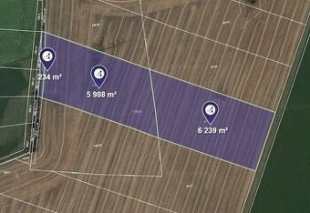 Prodej podílu 1/2 pole 16 402 m², Dobrovice