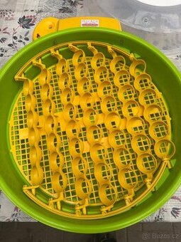 Líheň puisor na 51 vajec - 1