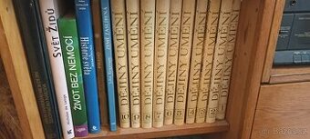 dějiny uměni Piojan