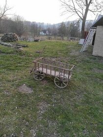 Žebřiňák - 1