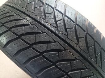 225/55 R17 GOODYEAR (5016)