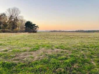 Veľký Pozemok 45 172 m² pri Malých Levároch - 1