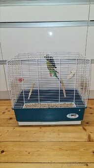 2 Andulky a klec, krmení