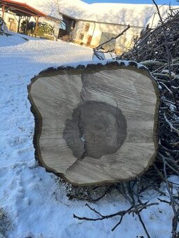 Prodám kmen Ořechů