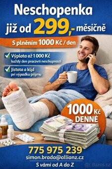 Pojištění neschopnosti - 1