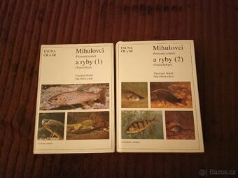 Mihulovci (Petromyzontes) a ryby (Osteichthyes) - 1