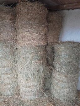 malé kulaté balíky sena