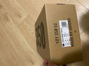 Adidas Yeezy boost 350 v2 ONYX