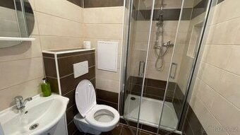 Pronájem 1+1 v Brně - Bystrci